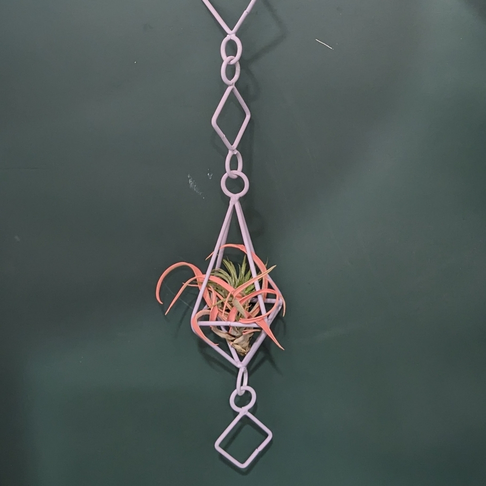 📦5 for $20🛒 Metal Hanging Air Plant Hanger Holder Planter Decoration Purple